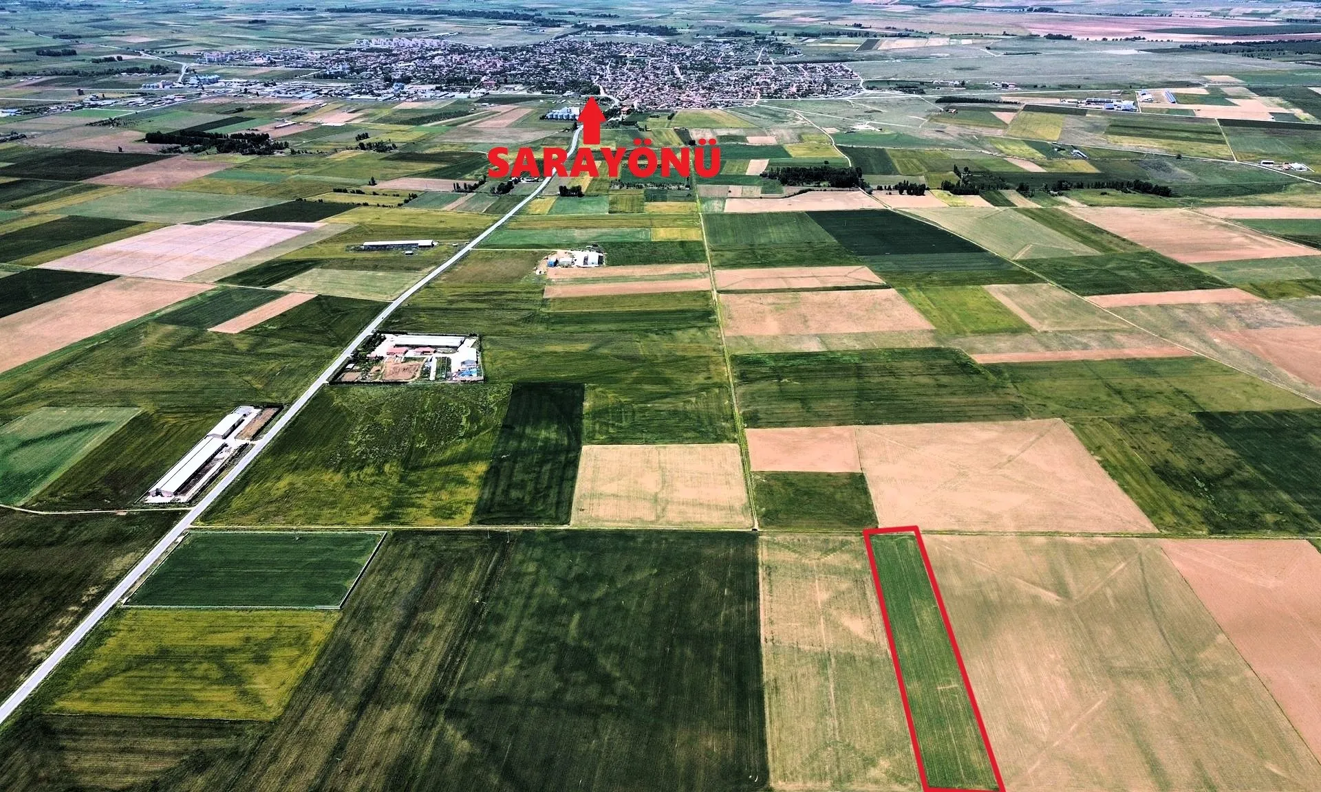 KONYA SARAYÖNÜ YUKARI'DA SATILIK 14.452 M2 KUPON TARLA!